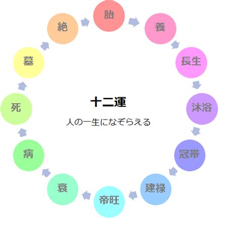 日柱沐浴|四柱推命 十二運『沐浴』の性格・運勢・有名人